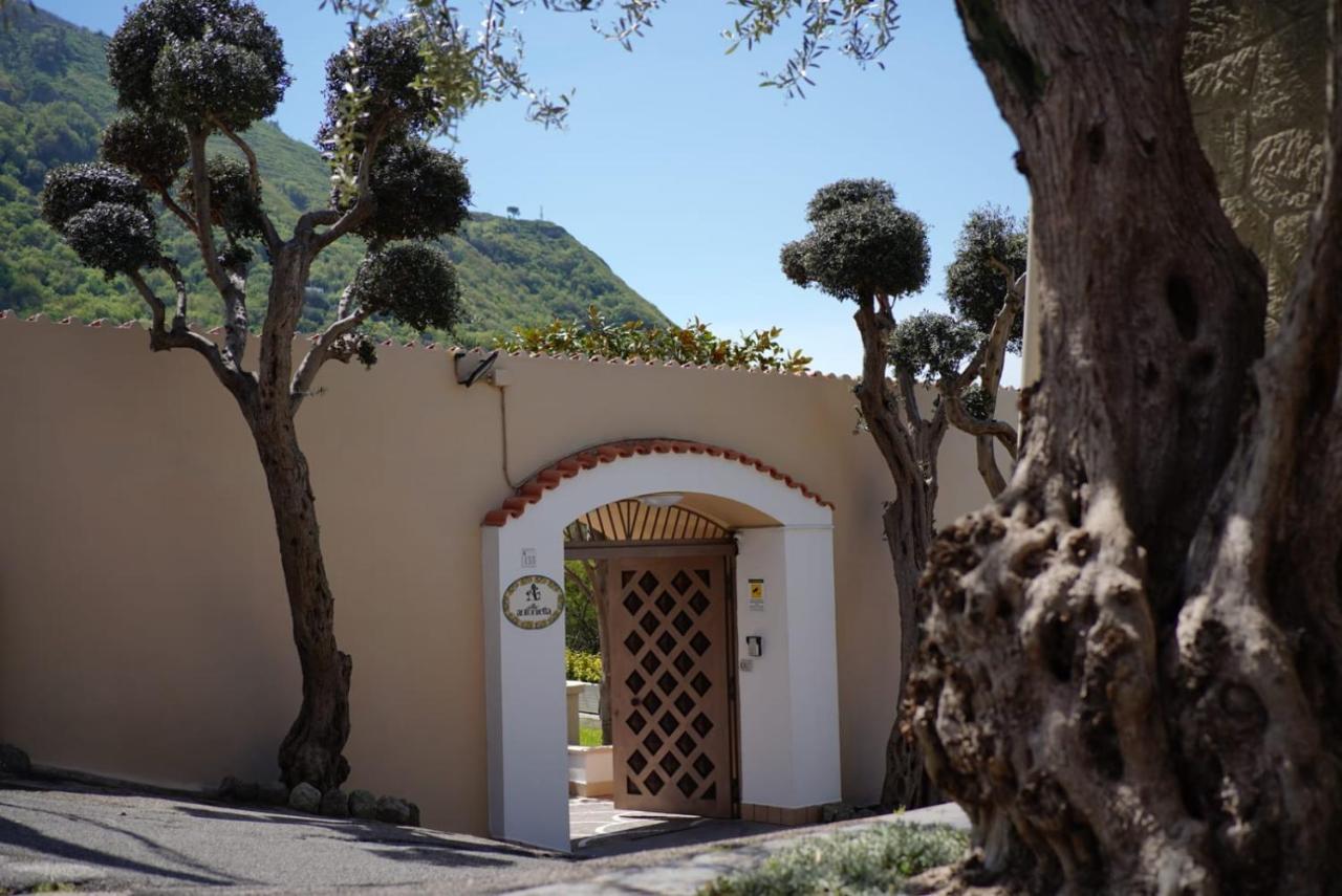 Villa Antonietta Ischia Exterior photo