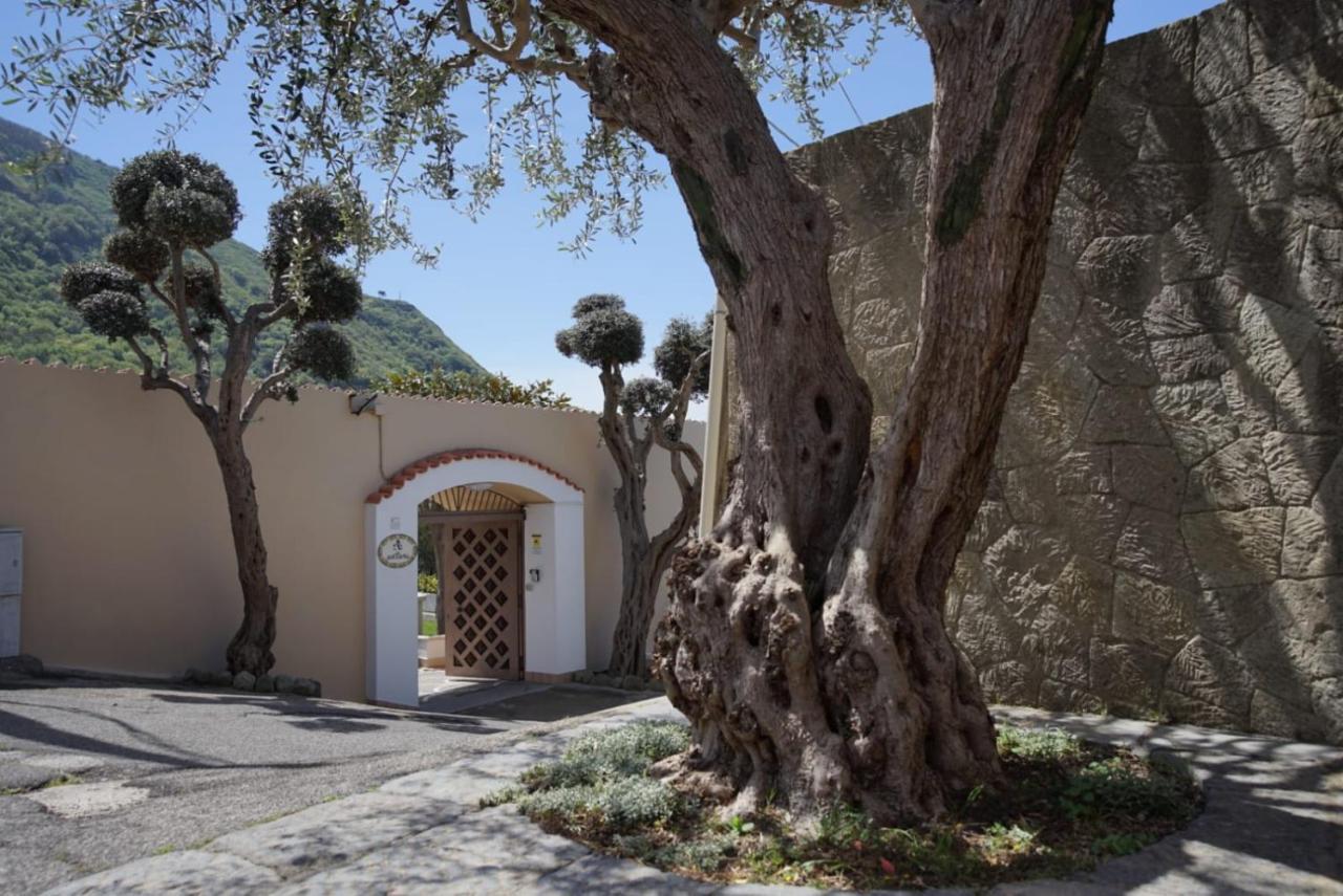 Villa Antonietta Ischia Exterior photo